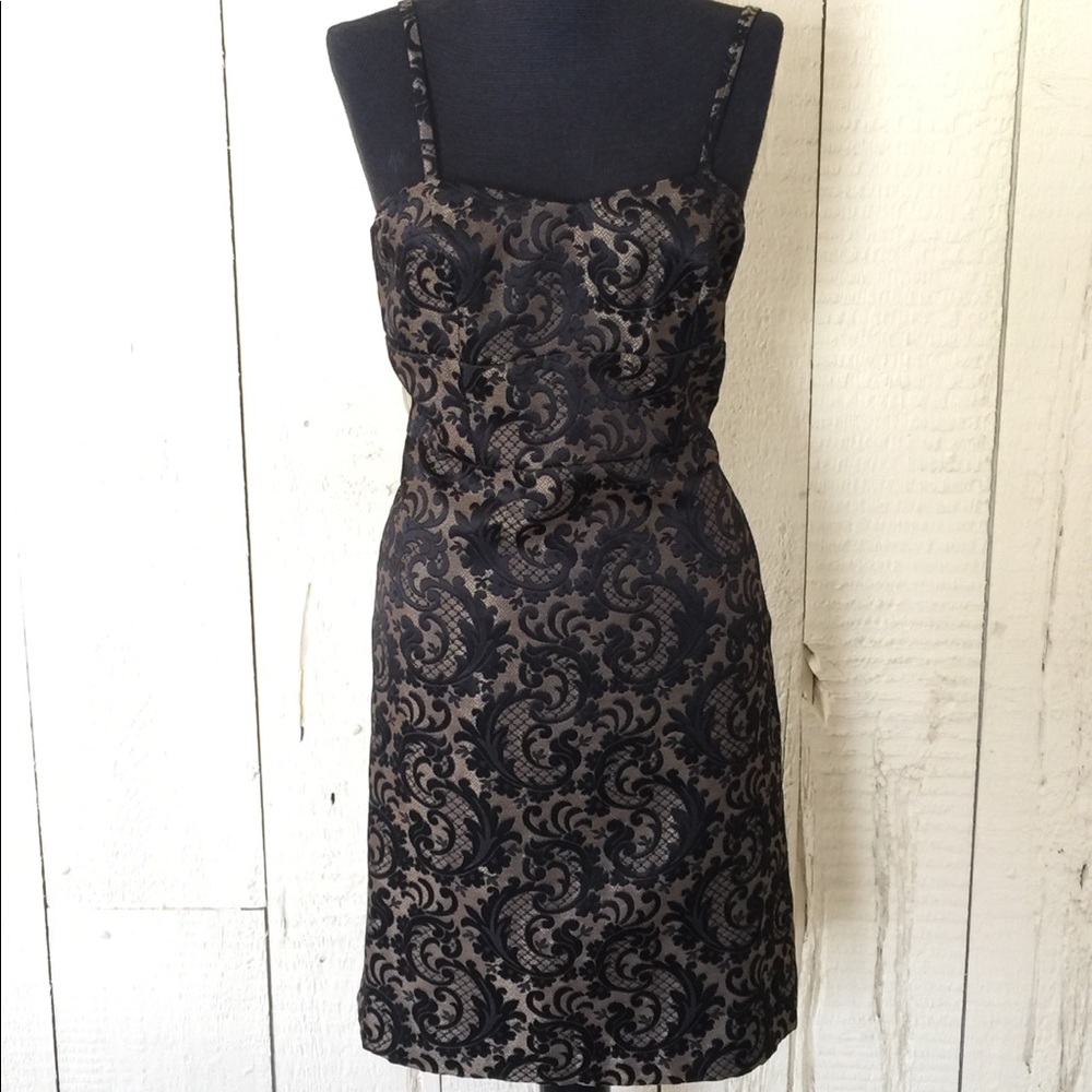 BNWT Ann Taylor Classy Damask Dress